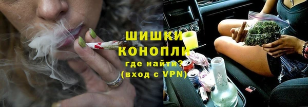 не бодяженный Заводоуковск
