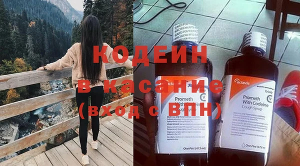 индика Заволжье