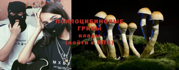 индика Заволжье