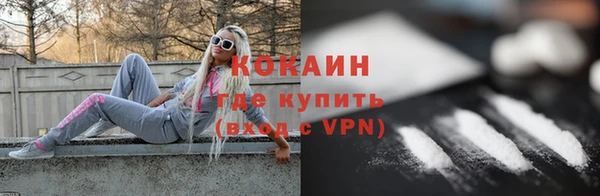 не бодяженный Заводоуковск