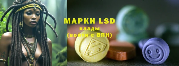 индика Заволжье