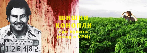 индика Заволжье