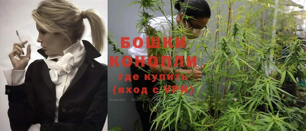 индика Заволжье