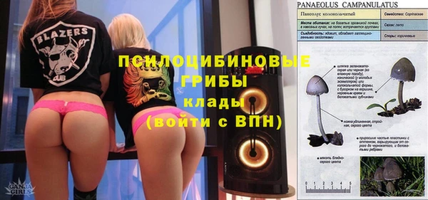 a pvp Заволжск