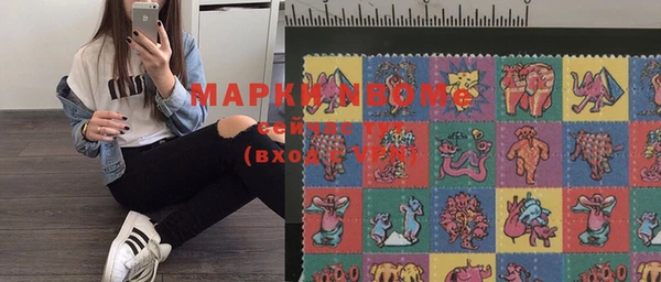 индика Заволжье