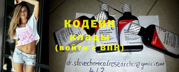 индика Заволжье