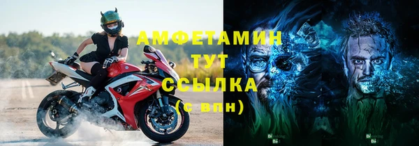 индика Заволжье