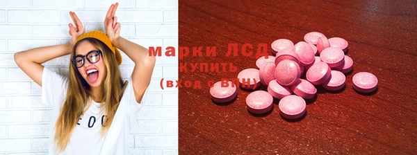 индика Заволжье