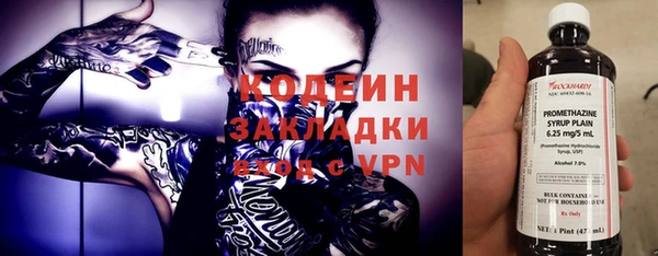 индика Заволжье