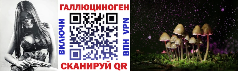 Купить закладки  Карасук  Псилоцибиновые грибы GOLDEN TEACHER 